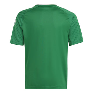 adidas Jersey adidas Campeon 23 Junior SS Shirt - Team Green