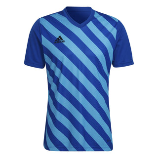 adidas Jersey adidas Entrada 22 GFX SS Shirt - Royal Blue/App Sky Rush