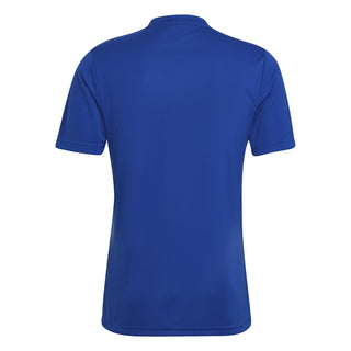 adidas Jersey adidas Entrada 22 GFX SS Shirt - Royal Blue/App Sky Rush