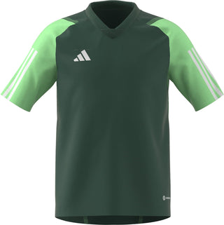 adidas Jersey adidas Tiro 23 Junior Competition SS Shirt - Team Dark Green/Beam Green