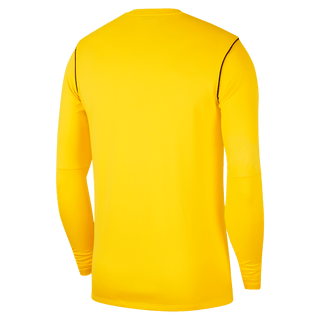 Nike Sweatshirt Nike Kids Park 20 Sweatshirt - Yellow