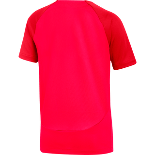 Nike Training Top Nike Kids Academy Pro Top - Bright Crimson / Red